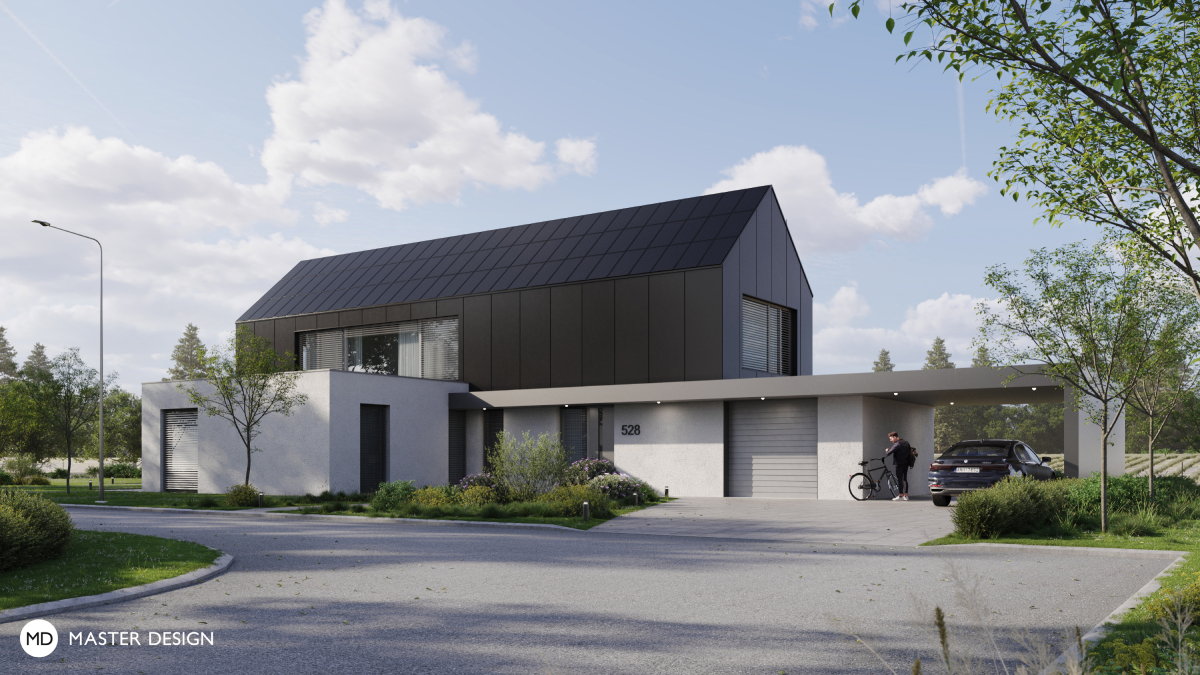 Family house for pilot wit black facade tilesPředměřice - visualisation3 Family house for pilot wit black facade tilesPředměřice - visualisation3
