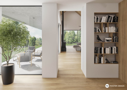 Luxury villa interiorLibčice nad Vltavou - visualisation4